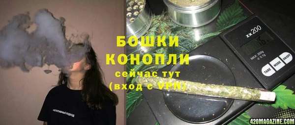 apvp Алексин