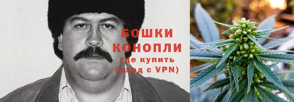 apvp Алексин
