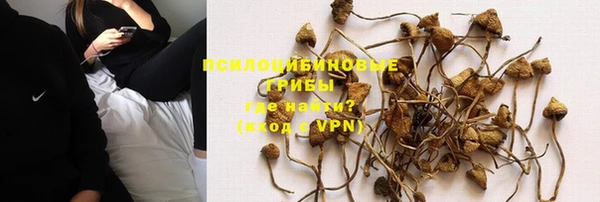 apvp Алексин