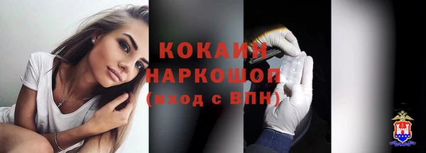 apvp Алексин