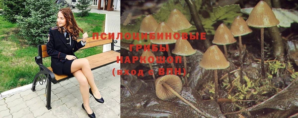 apvp Алексин