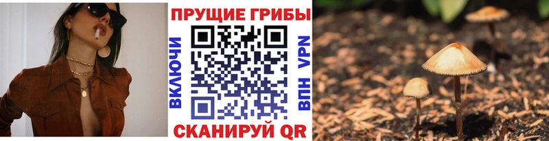 Псилоцибиновые грибы Magic Shrooms  наркотики  Крымск 
