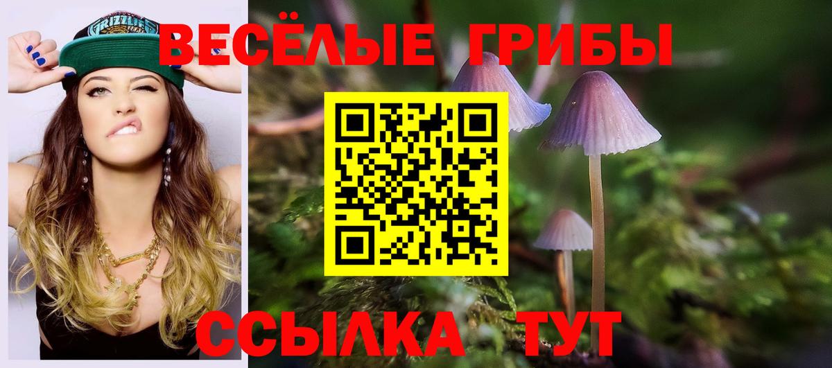 Галлюциногенные грибы Magic Shrooms Крымск