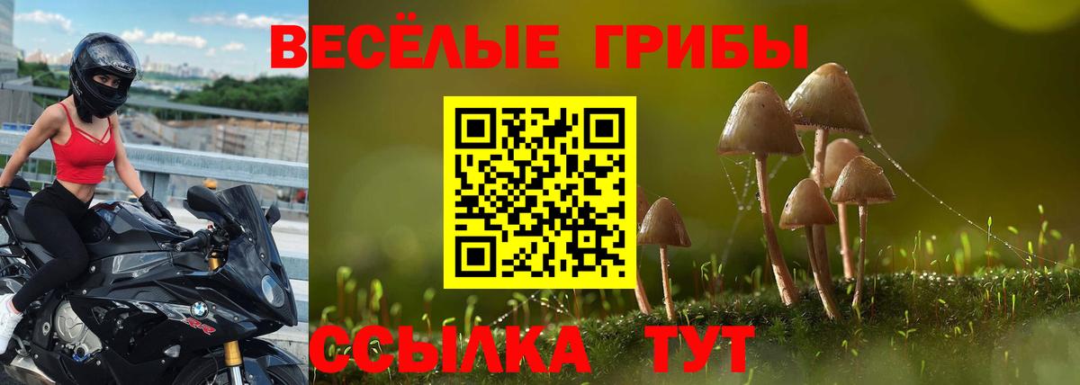 Псилоцибиновые грибы Magic Shrooms  Галлюциногенные грибы мухоморы  как найти наркотики  Вход с VPN  Крымск 